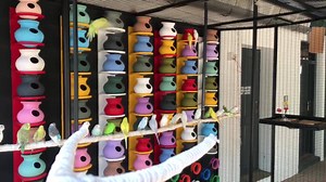 PET STATION on Reels