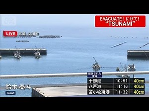 宮城・女川町 3・11で大きな津波 住民に危機感「警報解除までは高台に」(2025年7月30日)