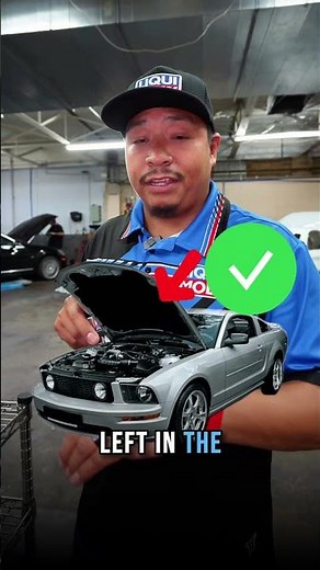 Liqui Moly Engine Flush Explained | How We Safely Clean European Engines