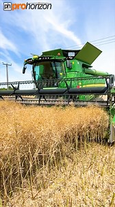 4.5M views · 14K reactions | This morning I was out with the Bradleys on their first day of OSR / Canola harvest for 2022. We have Lee in the John Deere combine harvester with the Zurn header on. #FarmingVideo #Harvest22 #ProHorizon #johndeeregreen | Pro Horizon Farming Content | Facebook