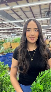 If you could take one section home from the Carolina Pottery, what would it be? #funny #decor #shopping #home #decoration | Carolina Pottery