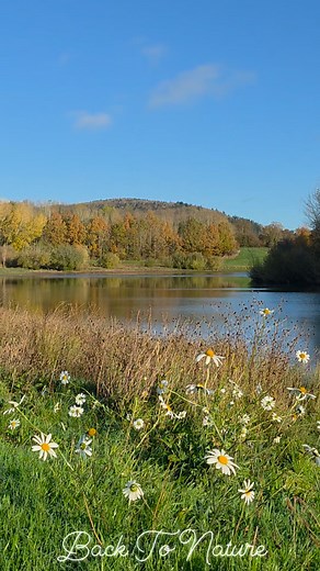 How November can be so beautiful? 😍 . . . . . #BackToNature_OwnVideo Back To Nature | Back To Nature