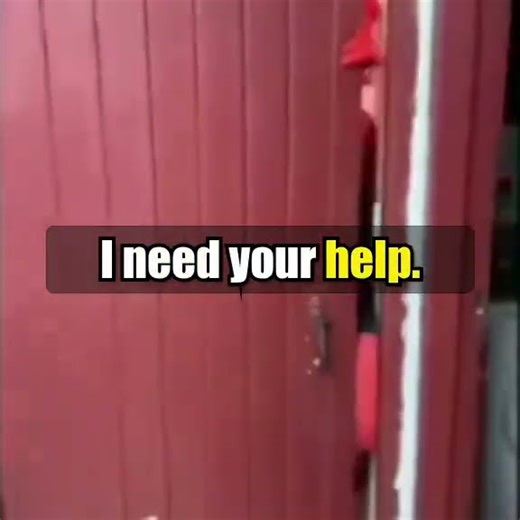 if Build Back Better was Spiderman