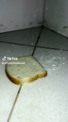 Teleporting Bread and Standing Strong: A Bread Adventure