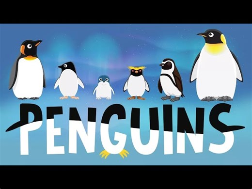 Interesting Facts About Penguins - For Kids