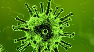 5K views · 16 reactions | In a breakthrough study, researchers have uncovered key details as to how the Salmonella bacteria that cause typhoid fever, identify a host's immune cells and deliver toxins that disrupt the immune system and allow the pathogen to spread. | The Times of India | Facebook