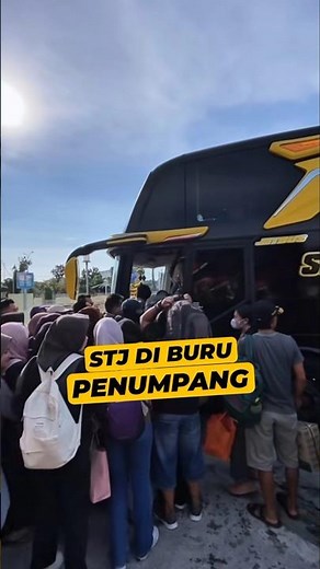 STJ STILL BEING HUNTED BY PASSENGERS #stj #bus