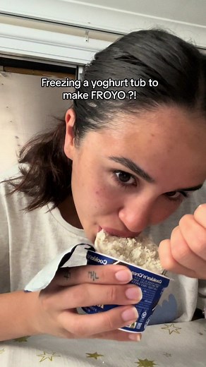 Testing Homemade Frozen Yogurt: Is It Worth It?