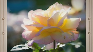 70 Beautiful Flower Tattoo Ideas for Women in 2022