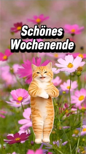 Schönes Wochenende Grüße zum kostenlosen Teilen