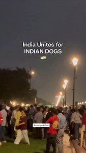 If we stay quiet, we stand with cruelty. | Wehelpvoiceless