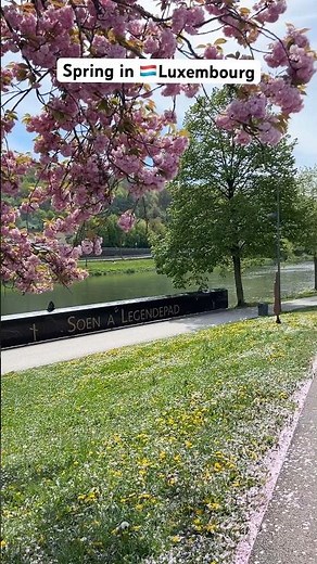 Spring in Luxembourg 🇱🇺 | Nature in Luxembourg