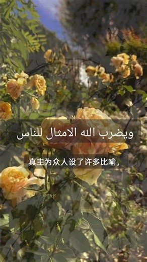 The Qur’an (Surah An-Nur) — Recitation by Imam Sudais 《古兰经·光明章》诵读与中文翻译