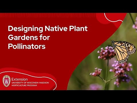 Designing Native Plant Gardens for Pollinators