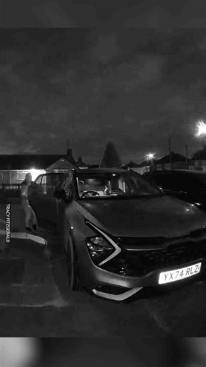 Confused Labrador Hilariously Jumps Onto Car Bonnet Instead of Boot