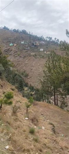 quran urdu translation ❤❤️❤