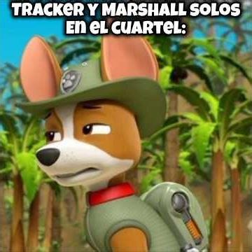 Tracker and Marshall when they're alone at the PAW Patrol headquarters🙄😒 #pawpatrol #edit #humor ...