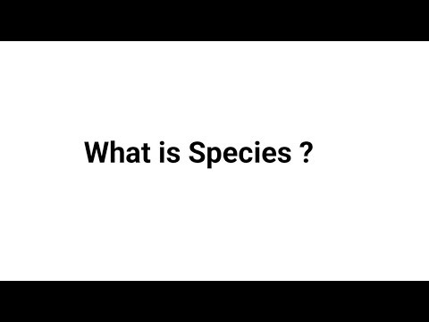 What is Species?