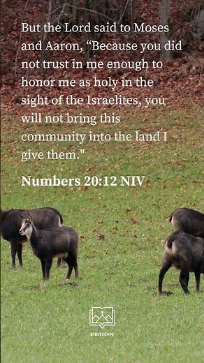 Biblescape ( Numbers 20:12 NIV)