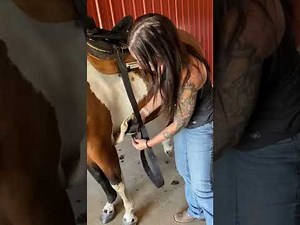 How to put on a western saddle