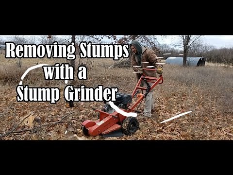 How to Remove Stumps Using a Stump Grinder