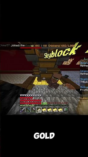 Completing the Piglin Shrine Max Level Cubecraft Skyblock