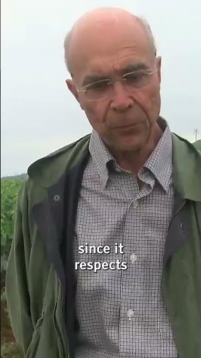 🍷 Is Romanée-Conti organic and biodynamic ? 💫