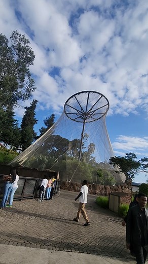 Explore Unity Park Zoo in Addis Ababa, Ethiopia