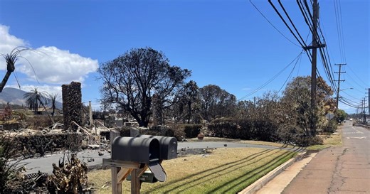 A Bruin rising from ruins: How one UCLA alumnus persevered amid the Maui wildfire