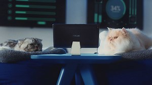 2.9M views · 5.1K reactions | After all the sleepless nights, we have our moment of truth! We've developed what we think is the ultimate tablet - the ASUS ZenPad with Intel Inside. Catch all the shenanigans and precious moments with our adorable kitty friends! #ASUS #ZenPad #CertifiedByCats Intel Inside. Better Experiences Outside. Available at: https://www.asus.com/Tablets/ZenPad-Products/ | ASUS | Facebook