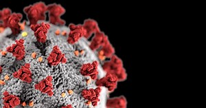 Highly mutated omicron variant likely already spreading in US