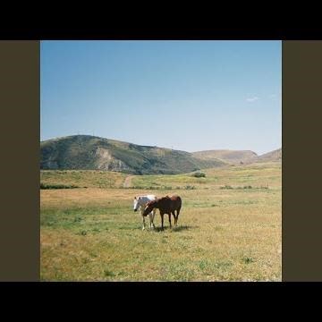 Do I Like You Like That?