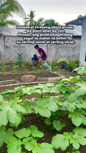 Veggies are expensive, so we are planting our own… Pero ang tunay na harvest? Peace of mind, patience, and little victories in the backyard. #gardening #fblifestyle | Roldan Gasing
