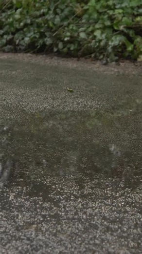 Very excited to announce I’m a NordicTrack ambassador✨ I’ve been loving the NordicTrack X16 Elliptical workouts, all within the comfort of my own home!! And with the stunning @iFIT app I’ve got access to over 10,000 workouts, incredible trainers and an interactive AI Coach to genuinely feel like I’m training anywhere in the world 🗺️ Use my code MOLLY8 for 8% off any machine! #ad #NordicTrack #NordicTrackUK #iFIT | Molly Caudery