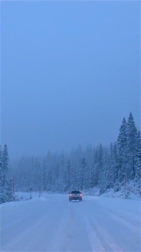 Powder Alert! 🥳 We picked up 10" of dense snow overnight and while the snow is a bit heavier and wetter than it's been all week, it's perfect for building the base 😋 Check the Mountain Report on our website for more information 👍 ➡️ https://www.mtbachelor.com/the-mountain/mountain-repor | Mt Bachelor
