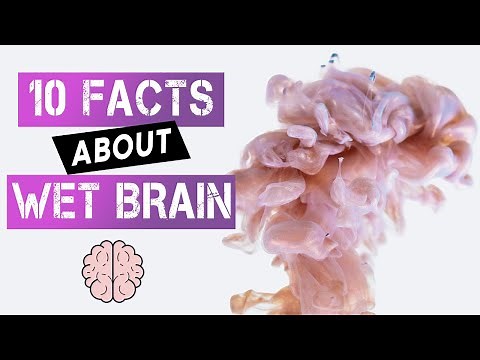 Wet Brain Syndrome - 10 Facts