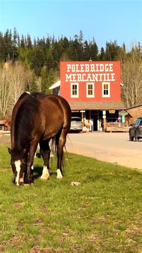 Polebridge Mercantile has been serving the North Fork for more than 100 years. When you try their bearclaws, you’ll know why. #GlacierMT | Western Montana's Glacier Country