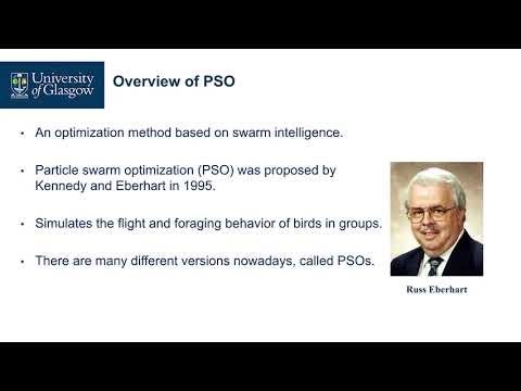 Particle Swarm Optimization: A First Introduction