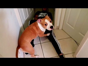 JE FAIS UN CACHE CACHE AVEC MON STAFF NALA - ELLE VA VOUS CHOQUER