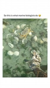 No doubt | Bad Science Jokes