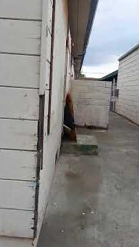 A Crackhead hatches from his egg.