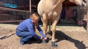 23 reactions | When Your Horse Deserves the Best Care, Choose Soft...