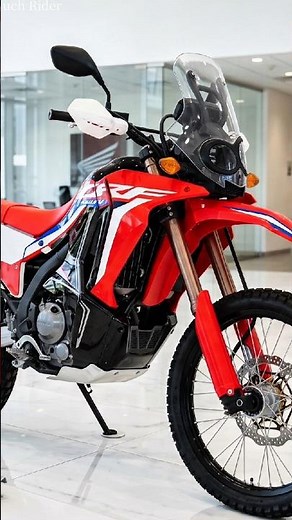 New Honda CRF300L Rally 2026 Revealed! Ultimate Adventure Bike? 🏍️💨