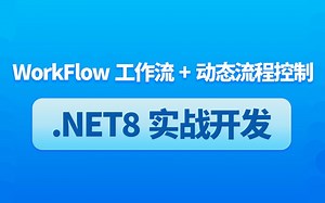 2025全新录制.NET8.0+WorkFlow工作流+动态流程控制 B1352