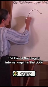 30K views · 1.1K reactions | LIVER DETOXIFICATION (PART - 1): Facts about your liver that you need to know for your wellbeing. Liver detox | human body, health, liver, fact | Facts about your liver pt.1 #liver #heal #health #foodforlife #regrow #diettreatments #body #pt1 | #barbaraoneill #barbaraoneillphd@gmail.com #drbarbaraoneilllectures | Original-Audio By Dr. Barbara O'Neill | Facebook Series. | Barbara O'Neill Lectures | Facebook