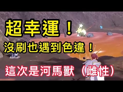 【寶可夢傳說 阿爾宙斯】超幸運！不用刷也遇到色違，這次是河馬獸！