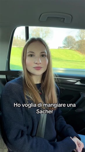 Exploring Vienna's Sacher Cake Experience