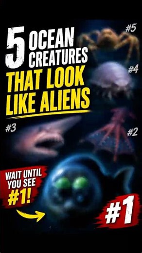 5 Ocean Creatures That Look Like Aliens 👽