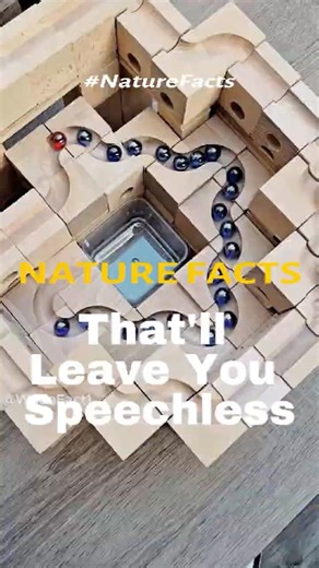 10 Nature Facts That'll Leave You Speechless
