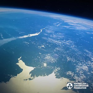 31 reactions | Learn how leaving a little of what you have can protect our planet and save our future generations. We can recover, rebuild and renew with your help. Just 1% of what you have as a gift in your will can protect this planet for our future generations. | Australian Conservation Foundation | Facebook